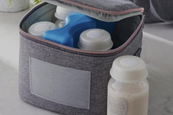 How to Choose the Best Insulated Bag for Breast Milk